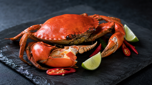 Crab 101: Mud Crab vs Flower Crab vs Snow Crab vs King Crab, Singapore's Complete Buying Guide