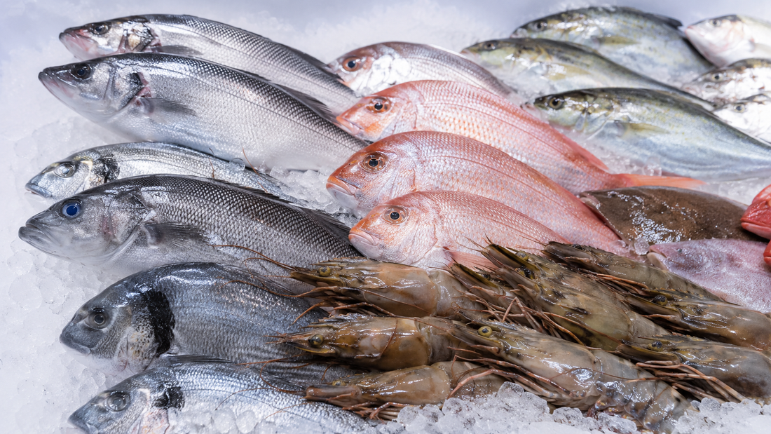 5 Seafood Freshness Myths Singaporeans Still Believe (And How to Actually Tell)