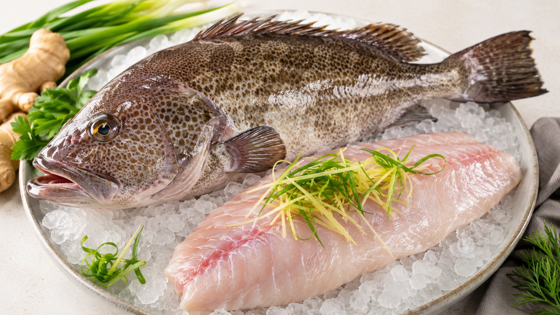 Grouper 101: Green vs Tiger vs Dragon vs Red vs Coral Trout — Which Should You Buy?