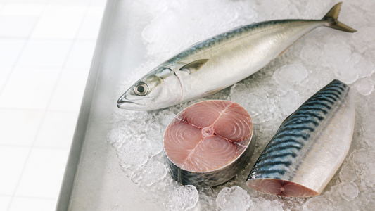 Whole kembong, a batang steak, and a saba fillet displayed on bright crushed ice