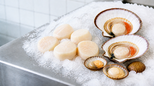 Bay, sea, and half-shell scallops displayed on bright crushed ice at a seafood counter
