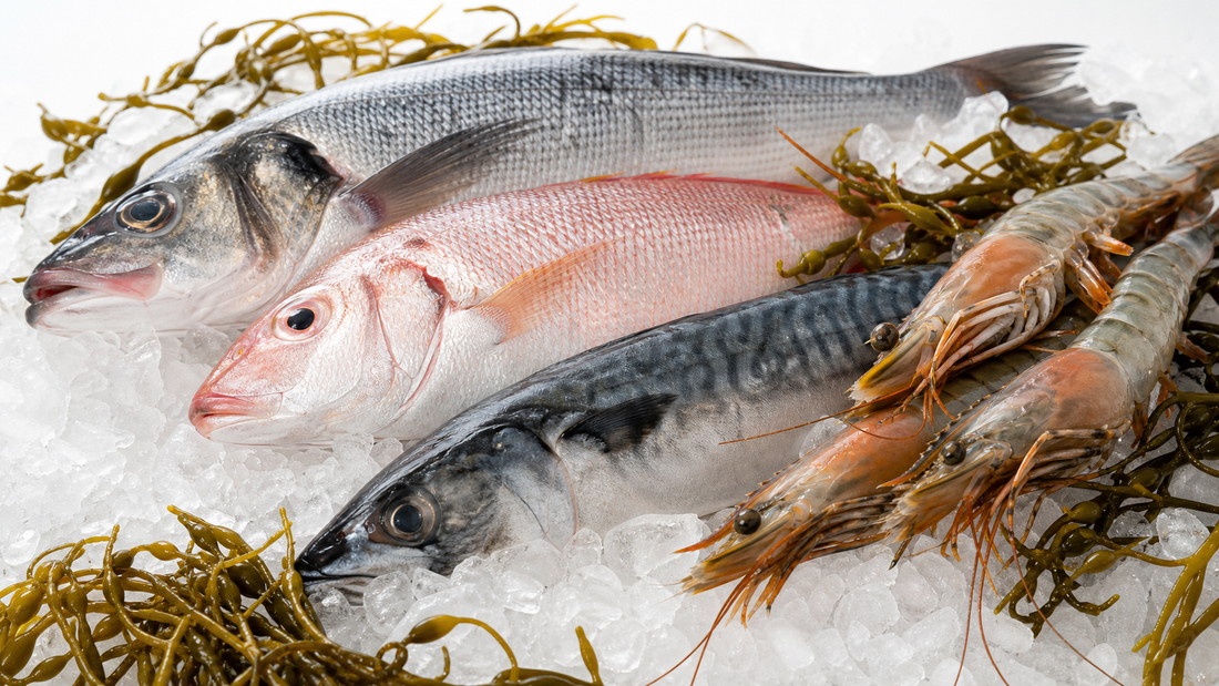 Sustainable Seafood in Singapore: What Sustainably Sourced Really Means (and How to Spot It)