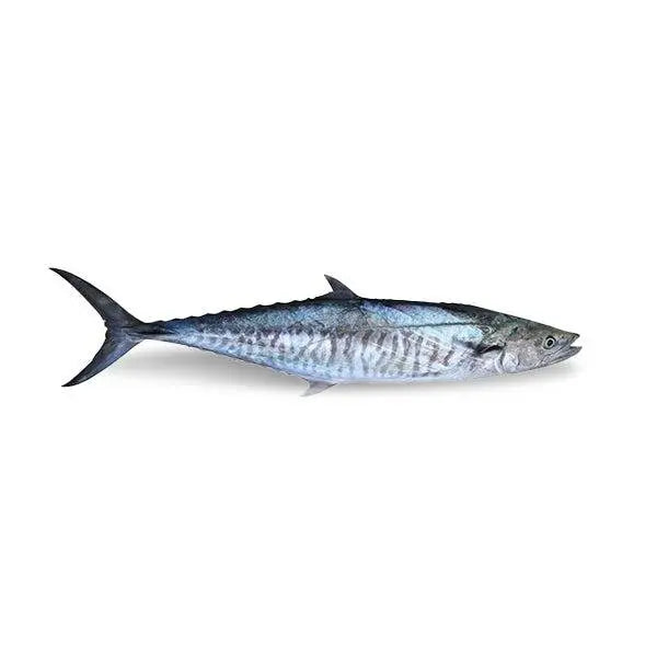 Fresh-Whole-Fish Pan Ocean Singapore - Sea Through Us