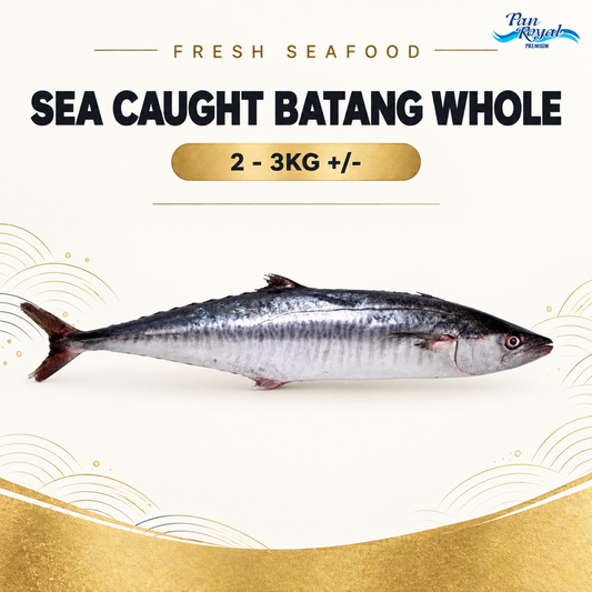 Fresh Sea Caught Batang Whole (2 - 3KG +/-) – Pan Ocean Singapore