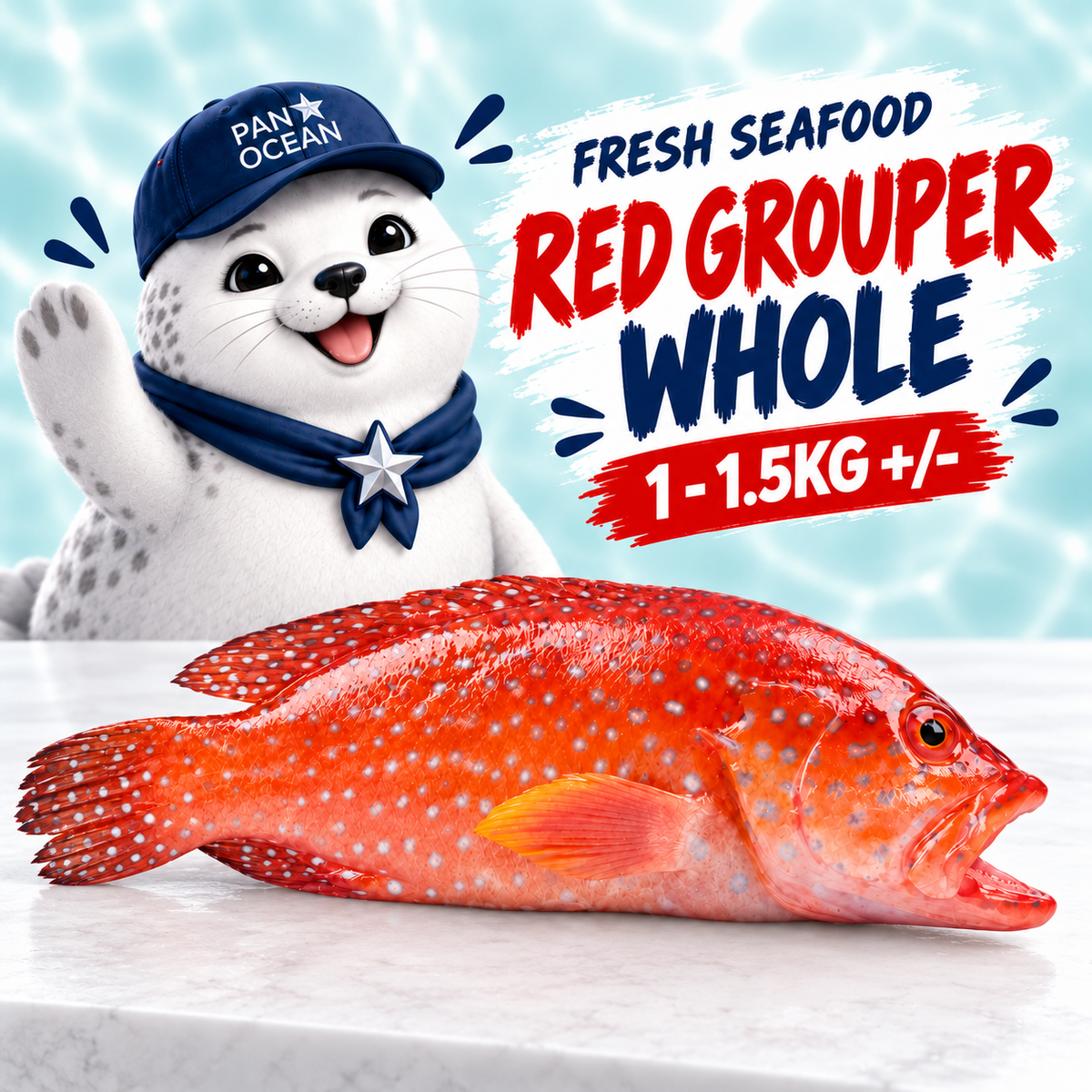 Fresh Sea Caught Red Grouper Whole (1 - 1.5KG +/-) — Pano aqua product listing