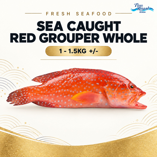 Fresh Sea Caught Red Grouper Whole (1 - 1.5KG +/-) – Pan Ocean Singapore