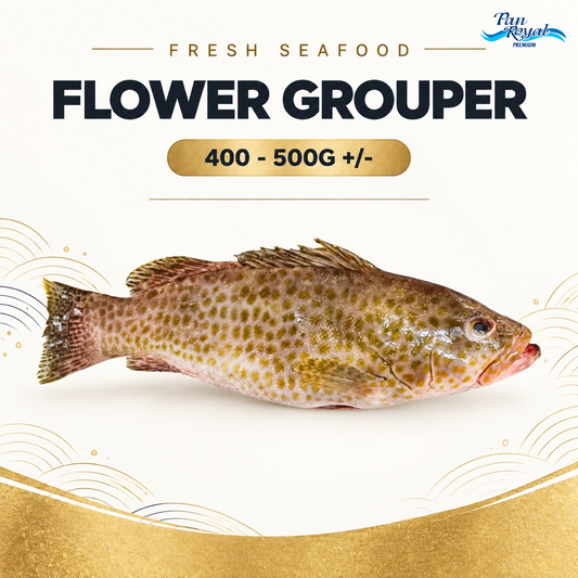 Fresh Flower Grouper (400 - 500g +/-) – standardized product image