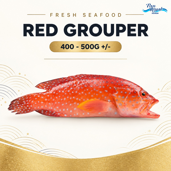 Fresh Red Grouper (400 - 500g +/-) – Pan Ocean Singapore