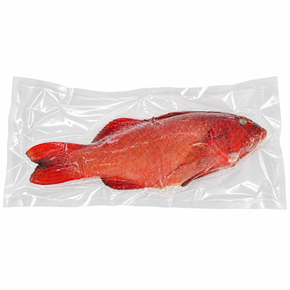 Fresh Frozen Red Grouper (400 - 500g +/-) — product packaging on white