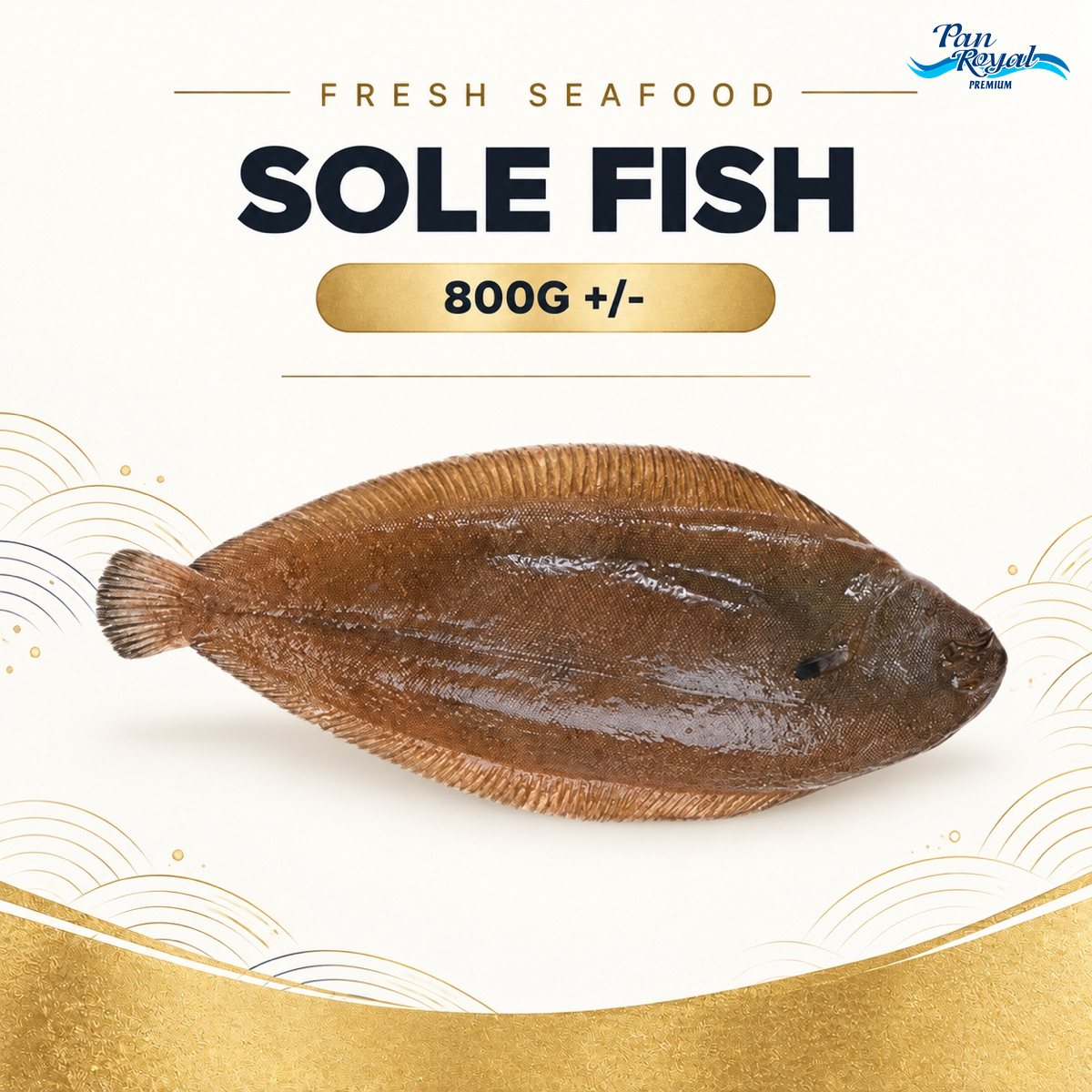 Fresh Sole Fish (800g +/-) – standardized product image