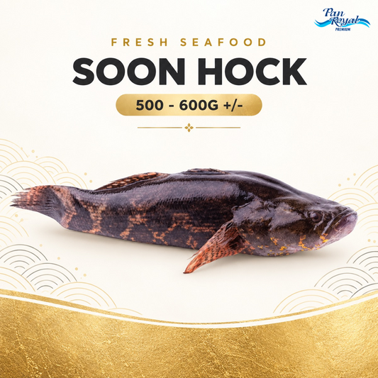 Fresh Soon Hock (500 - 600g +/-) – Pan Ocean Singapore