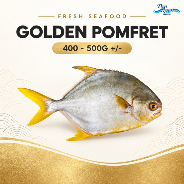 Fresh Golden Pomfret (400 - 500g +/-) – Pan Ocean Singapore