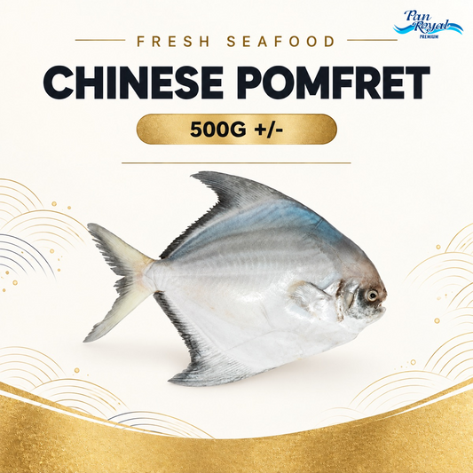Fresh Chinese Pomfret (500g +/-) – standardized product image