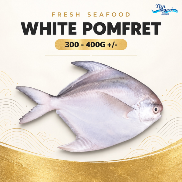Fresh White Pomfret (300 - 400g +/-) – Pan Ocean Singapore