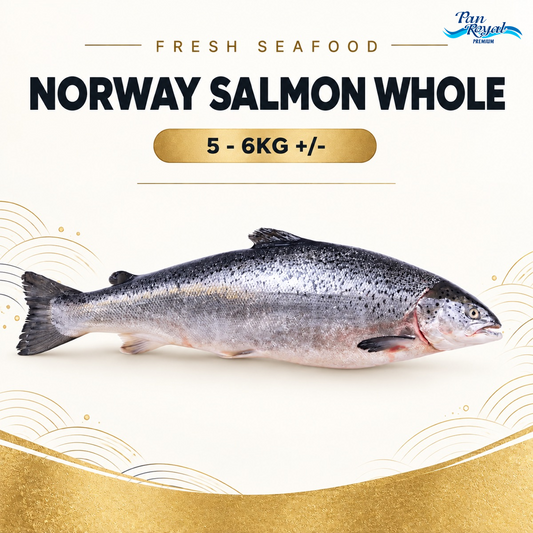 Fresh Norway Salmon Whole (5 - 6KG +/-) – Pan Ocean Singapore