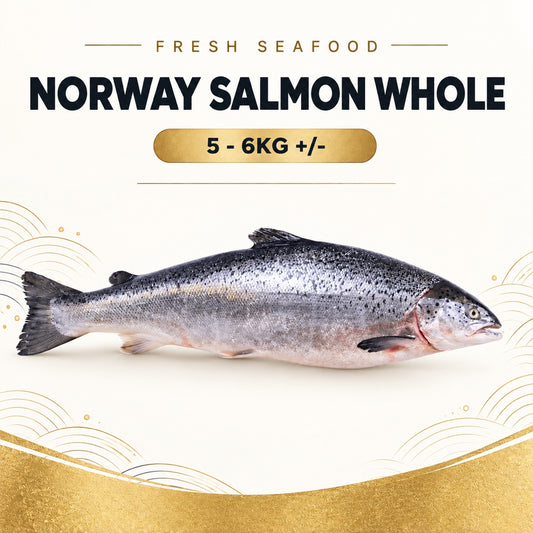 Fresh Norway Salmon Whole (5 - 6KG +/-) – Pan Ocean Singapore