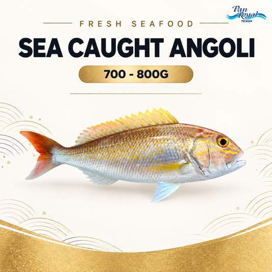 Fresh Sea Caught Angoli (700-800g) – standardized product image