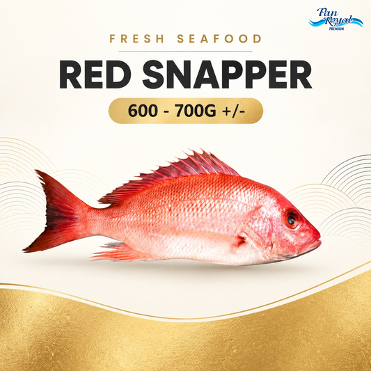 Fresh Red Snapper (600 - 700g +/-) – Pan Ocean Singapore