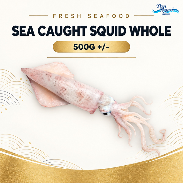 Fresh Sea Caught Squid Whole (500g +/-) – standardized product image