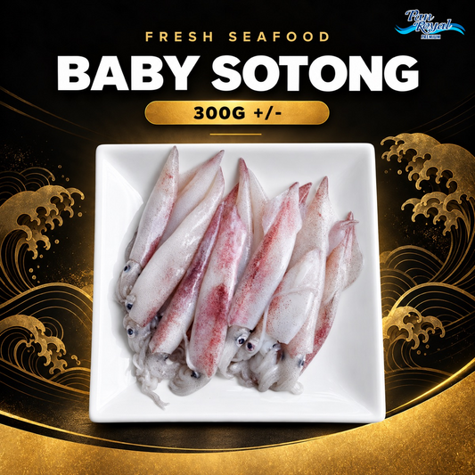 Fresh Baby Sotong (300g +/-)