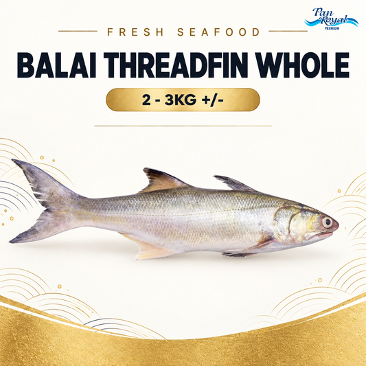Fresh Sea Caught Balai Threadfin Whole (2 - 3KG +/-) – Pan Ocean Singapore