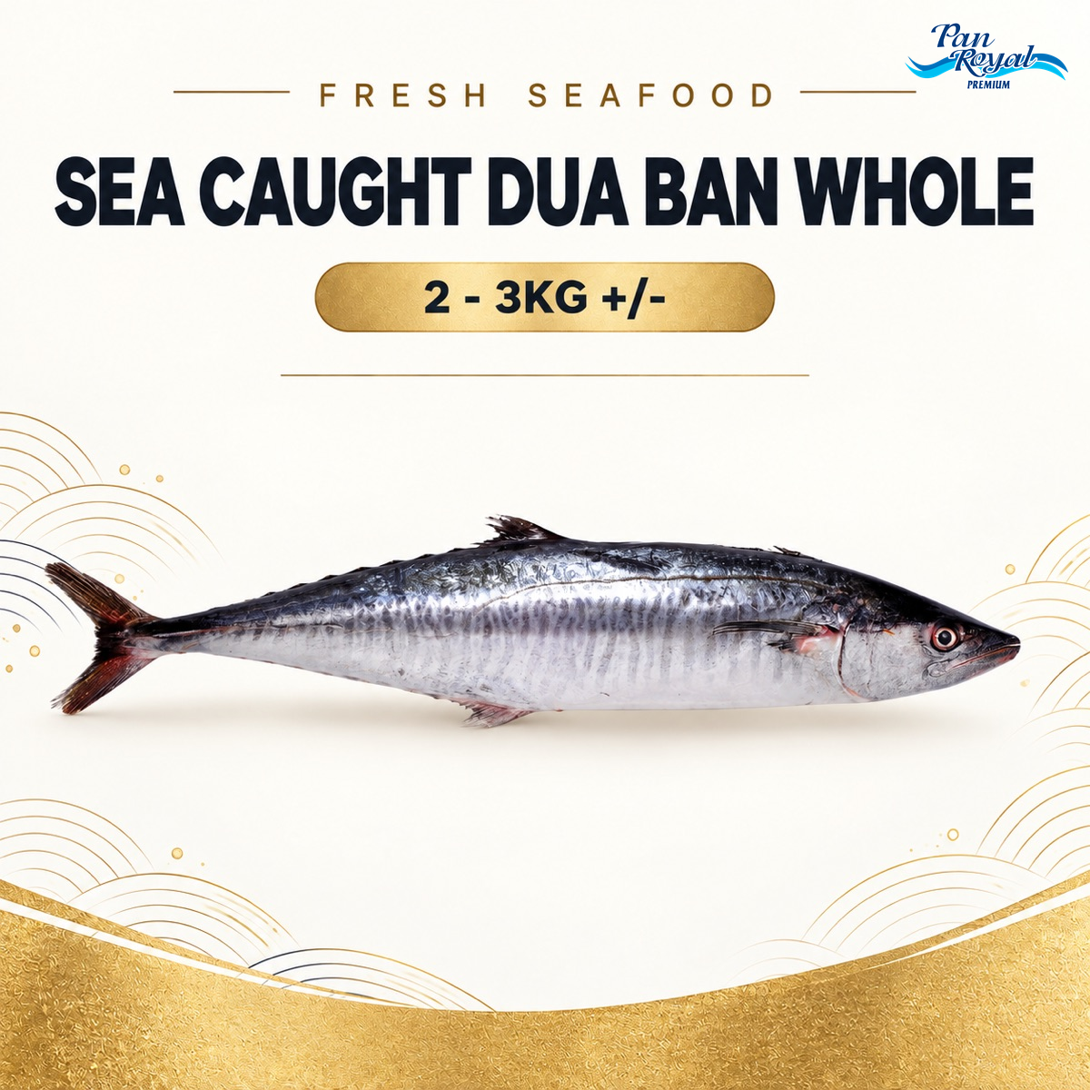 Fresh Sea Caught Dua Ban Whole (2 - 3KG +/-) – Pan Ocean Singapore