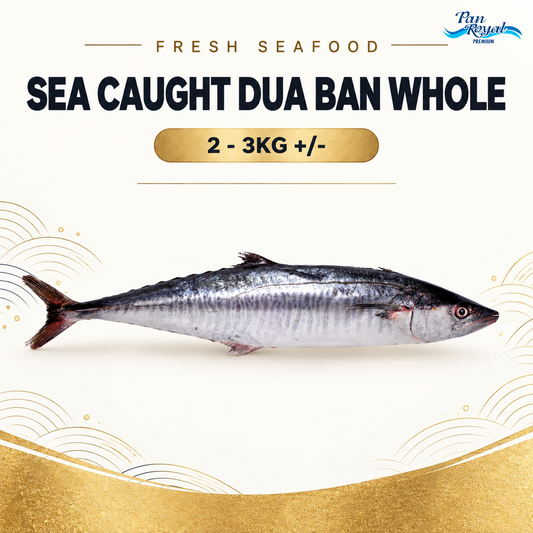 Fresh Sea Caught Dua Ban Whole (2 - 3KG +/-) – Pan Ocean Singapore