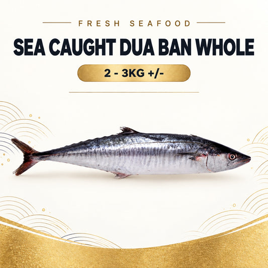Fresh Sea Caught Dua Ban Whole (2 - 3KG +/-) – Pan Ocean Singapore