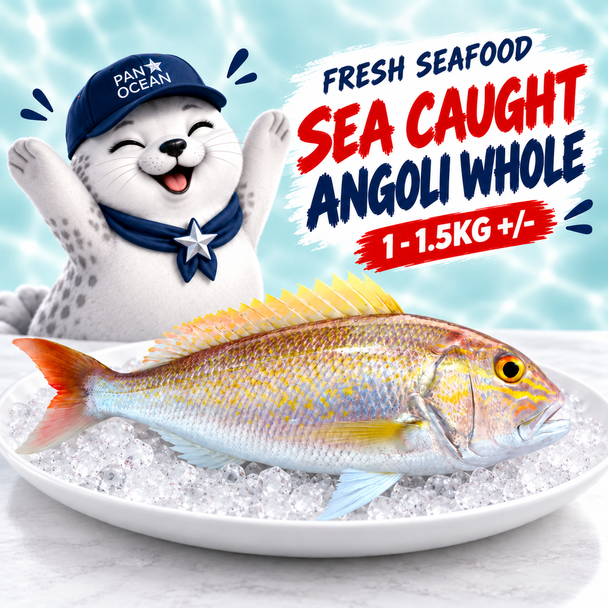 Fresh Sea Caught Angoli Whole (1 - 1.5KG +/-) — Pano aqua product listing