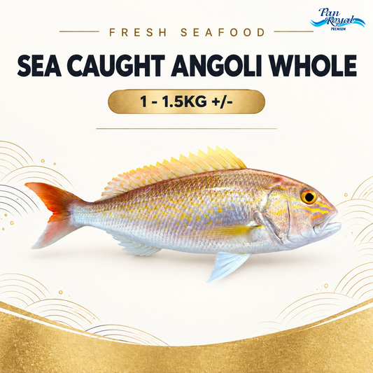 Fresh Sea Caught Angoli Whole (1 - 1.5KG +/-) – Pan Ocean Singapore