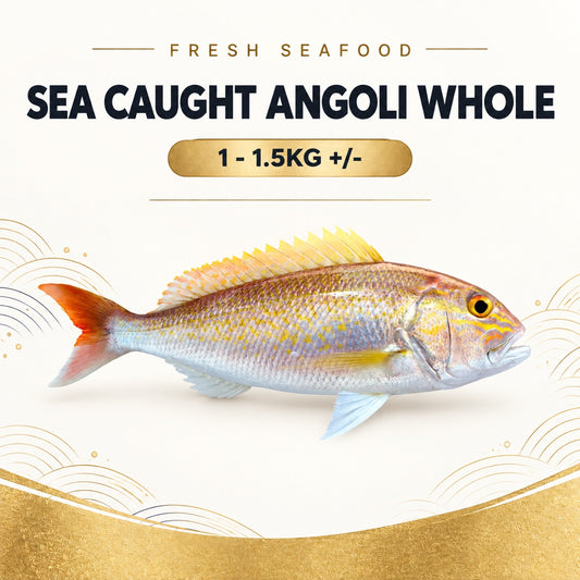 Fresh Sea Caught Angoli Whole (1 - 1.5KG +/-) – Pan Ocean Singapore