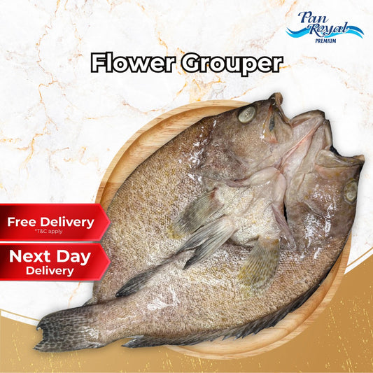 [PAN ROYAL] Fresh Frozen Flower Grouper Butterfly (600 - 700g)