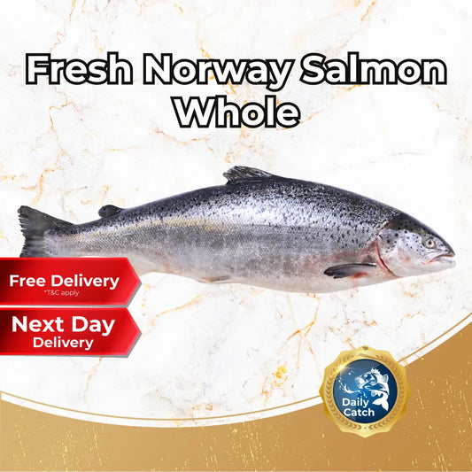 Fresh Norway Salmon Whole (5-6KG +/-) - Pan Ocean Singapore