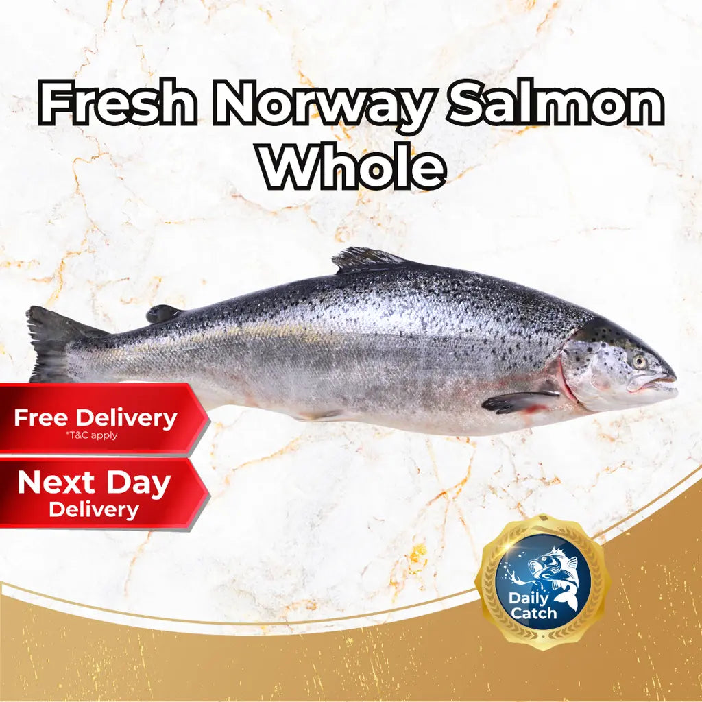 Fresh Norway Salmon Whole (5-6KG +/-) - Pan Ocean Singapore