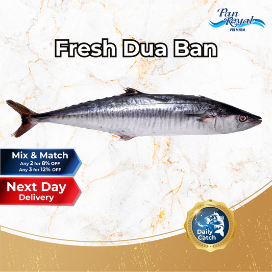 Fresh Sea Caught Dua Ban Whole (2-3KG +/-) - Pan Ocean Singapore