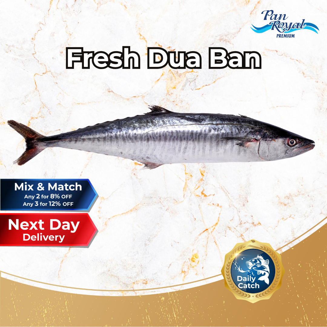 Fresh Sea Caught Dua Ban Whole (2-3KG +/-) - Pan Ocean Singapore
