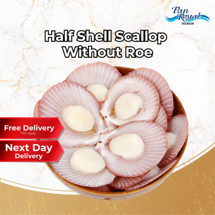 Frozen Half Shell Scallop Without Roe 5/6 500g +/-