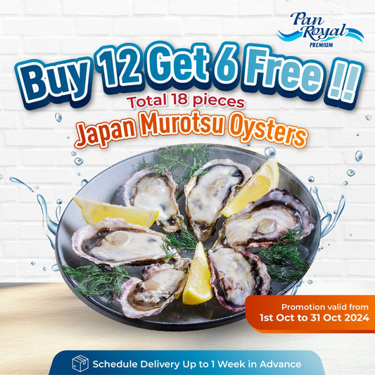 [PAN ROYAL] Frozen Japan Murotsu Oyster (Sashimi Grade) 12 pcs FREE 6