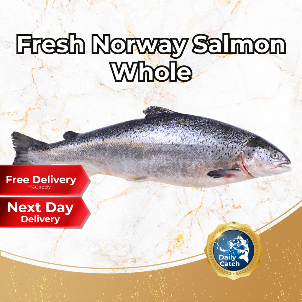 Fresh Norway Salmon Whole (4 - 5KG +/-)