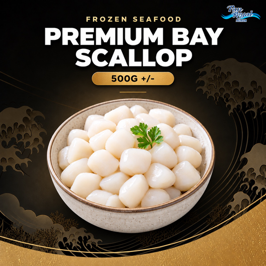Frozen Premium Bay Scallop 500g +/-