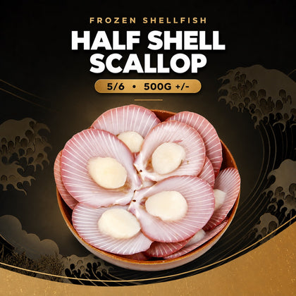 Frozen Half Shell Scallop Without Roe 5/6 500g +/-