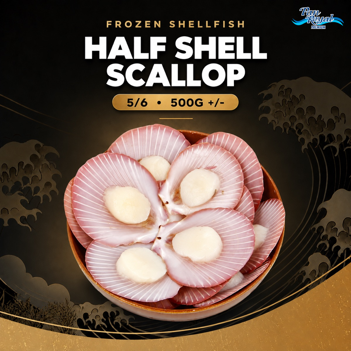 HALF SHELL SCALLOP 5/6 • 500G +/-