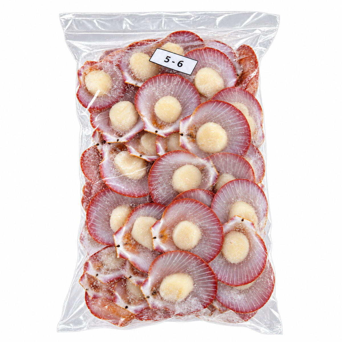 Frozen Half Shell Scallop Without Roe 5/6 500g +/- — product packaging on white