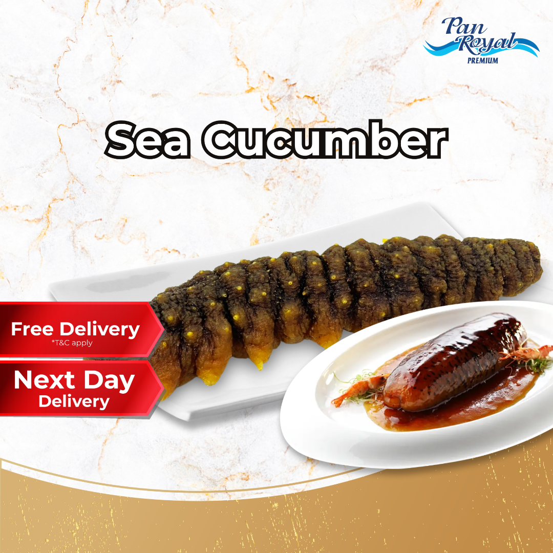 [PAN ROYAL] Frozen Sea Cucumber 400g - 800g +/- 海参