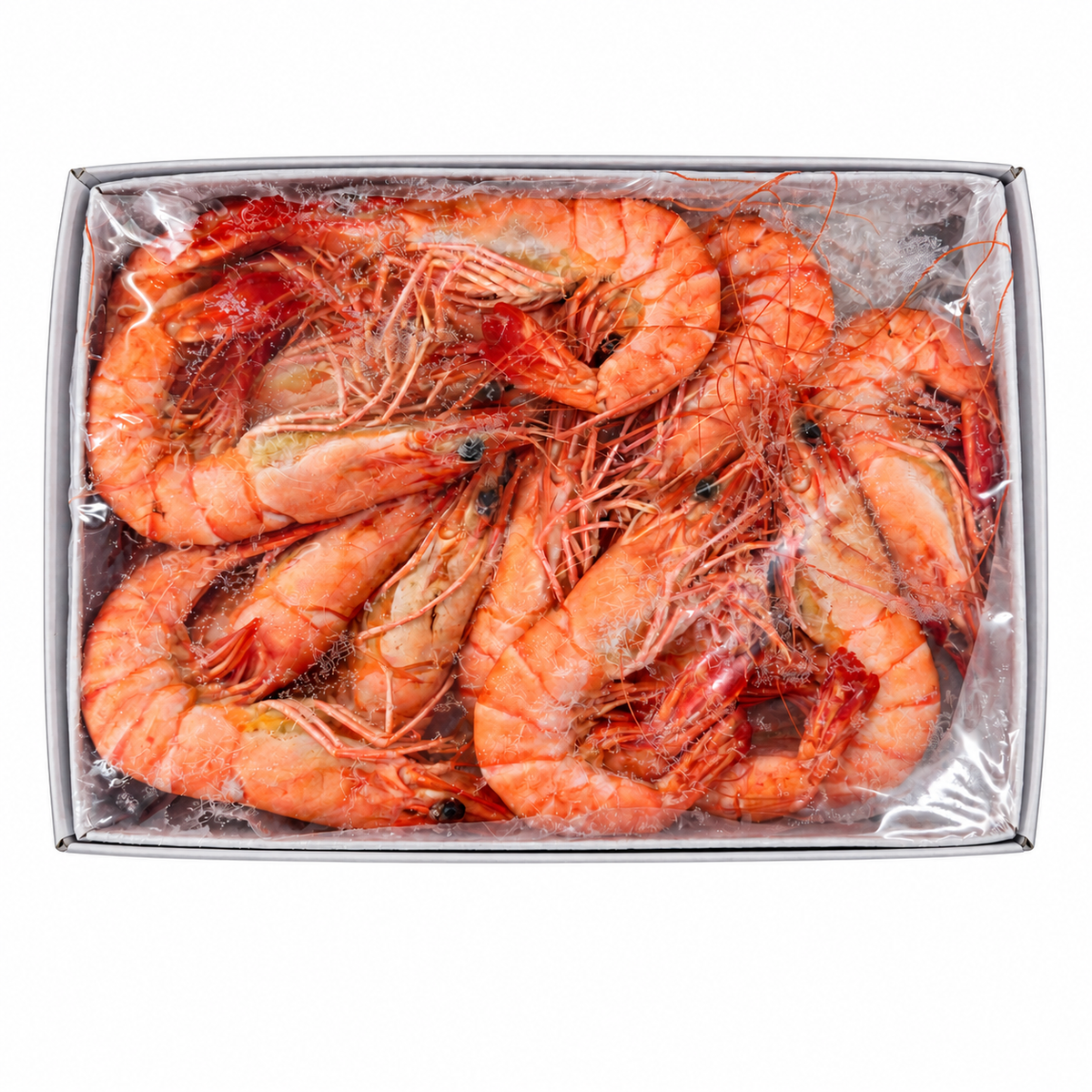 Frozen Cooked Tiger Prawn 16/20 (1kg +/-) — product packaging on white