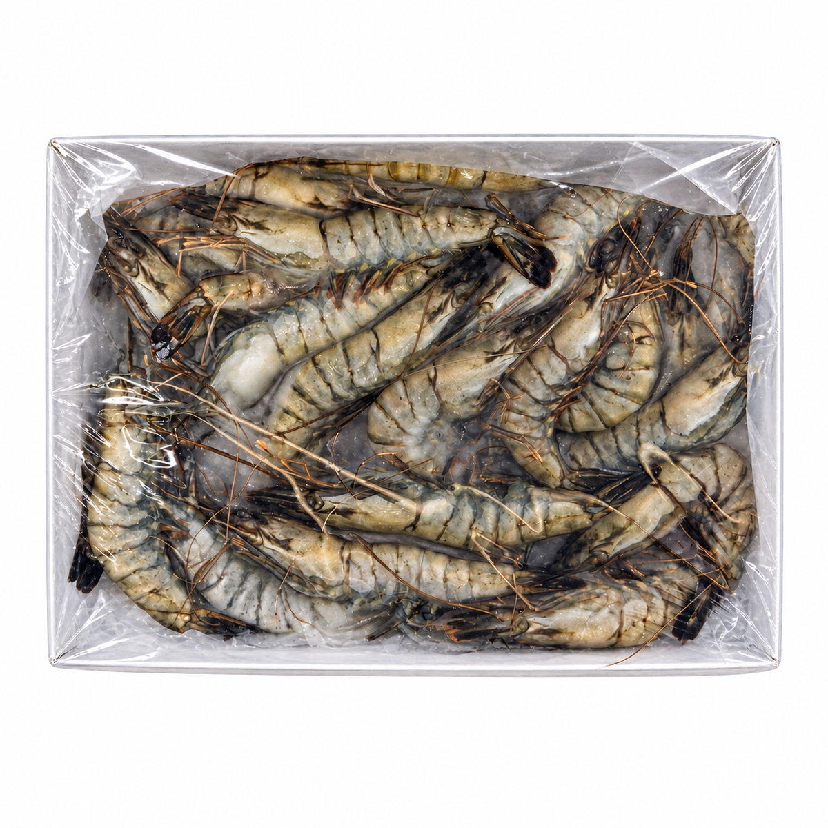 Frozen Tiger Prawn 31/40 (1kg +/-) — product packaging on white