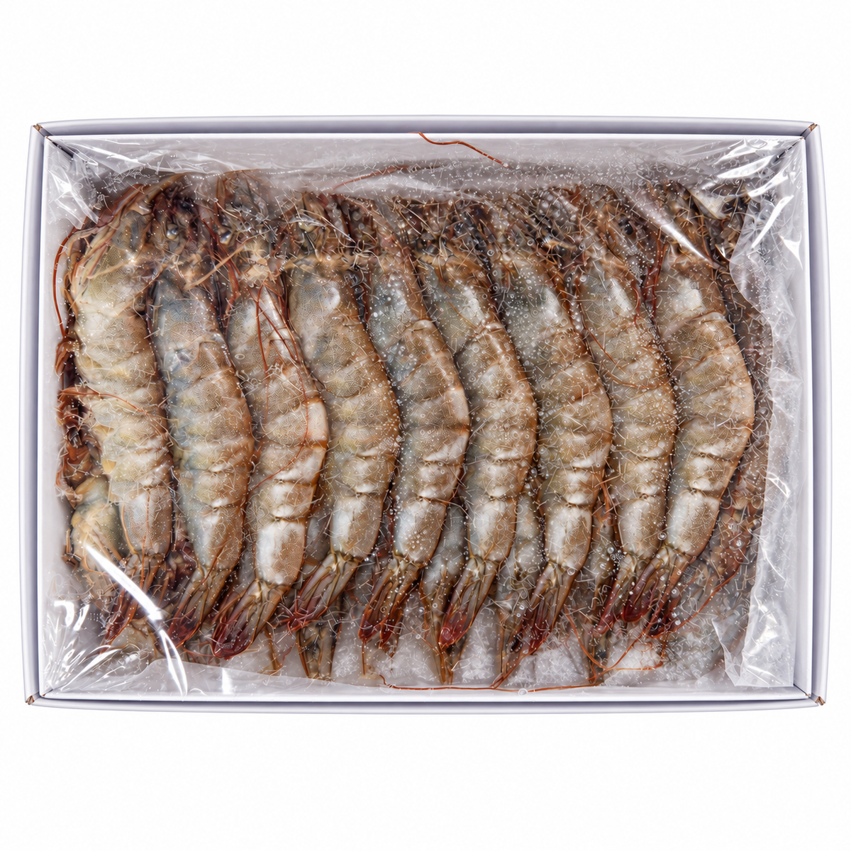 Frozen Vannamei Prawn 16/20 (1kg +/-) — product packaging on white