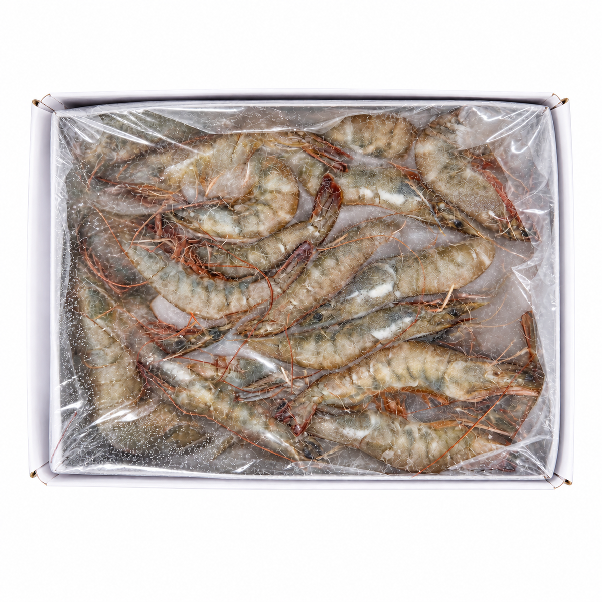 Frozen Vannamei Prawn 31/40 (1kg +/-) — product packaging on white