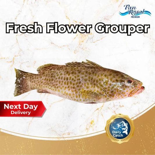 Fresh Flower Grouper (400 - 500g +/-) – Pan Ocean Singapore
