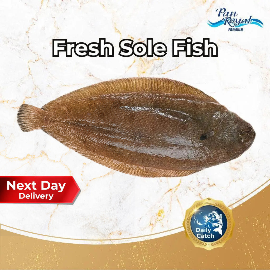 Fresh Sole Fish (800g +/-) - Pan Ocean Singapore